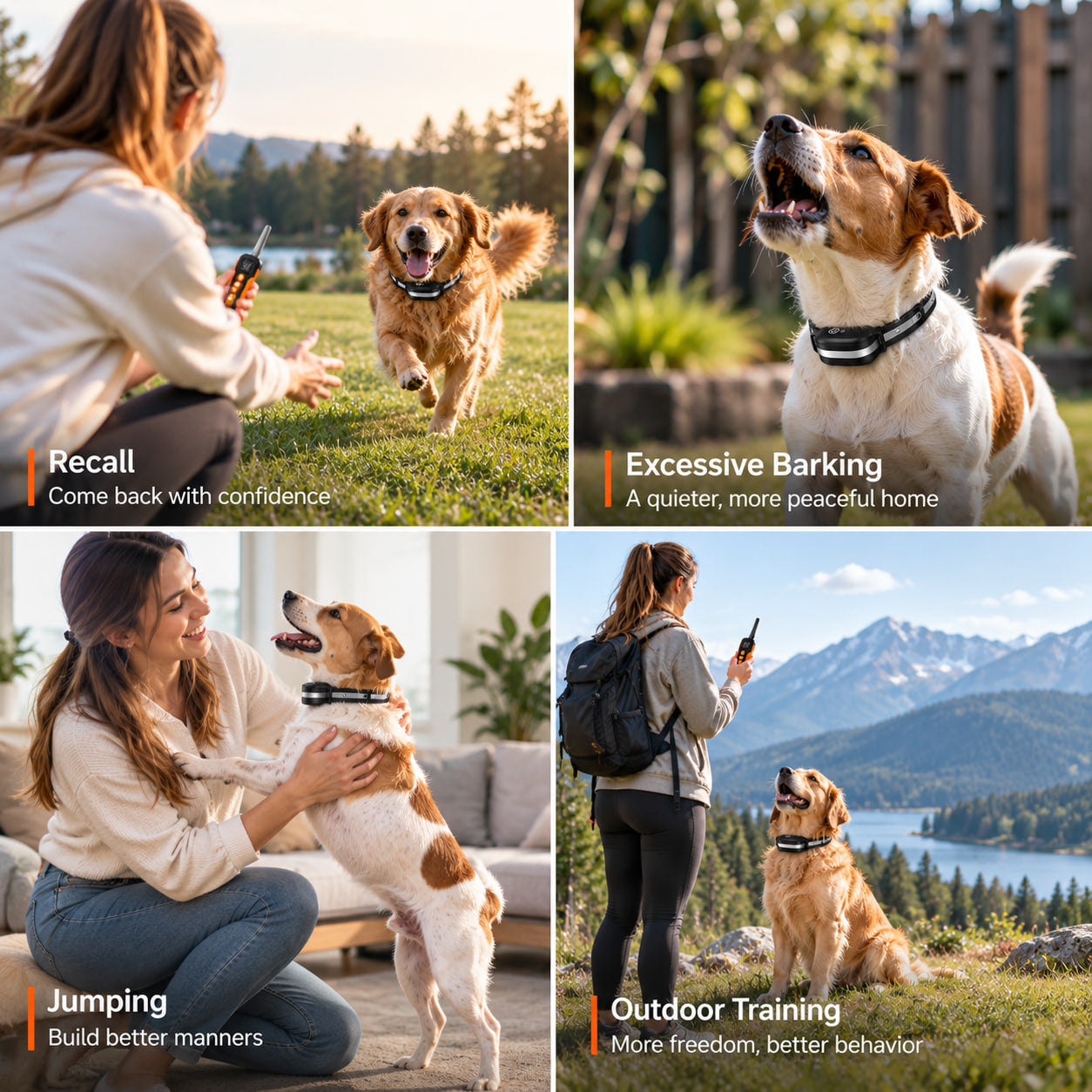 PaiPai PD518-1-3KM Remote Dog Trainer