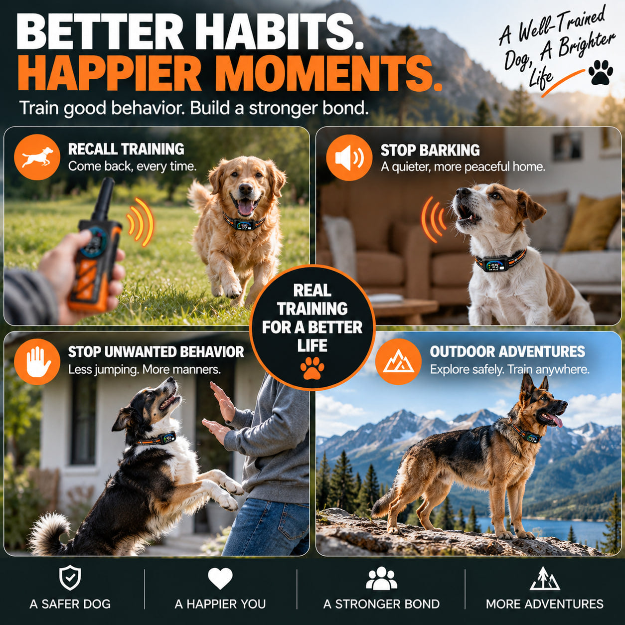 PaiPai PD511-1-TIO 2-in-1 Dog Trainer