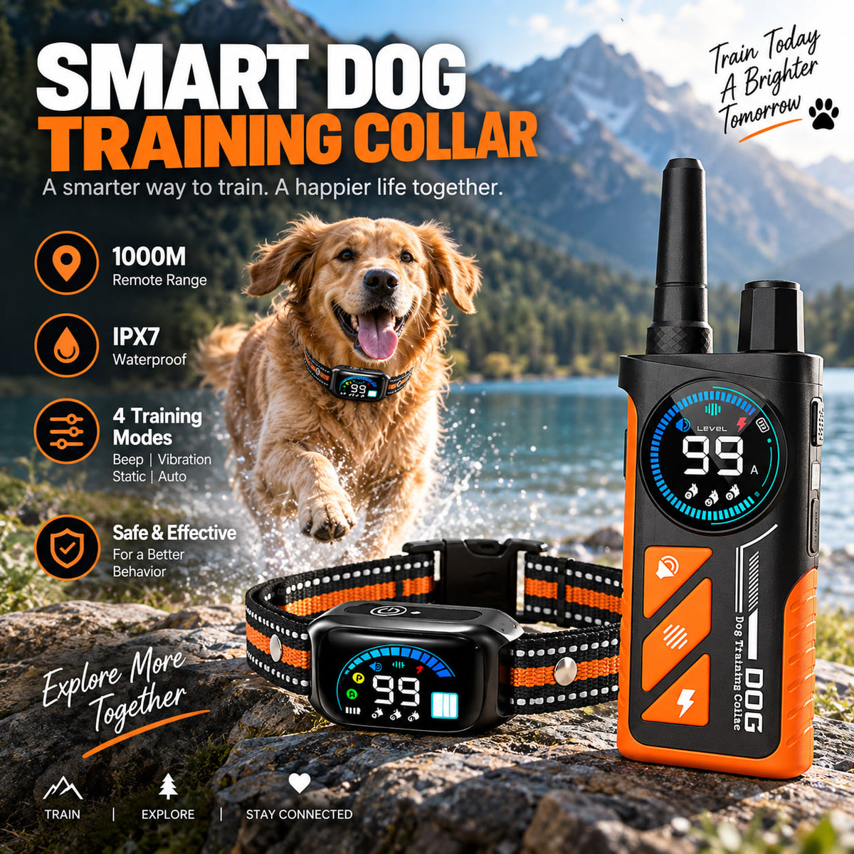 PaiPai PD511-1-TIO 2-in-1 Dog Trainer