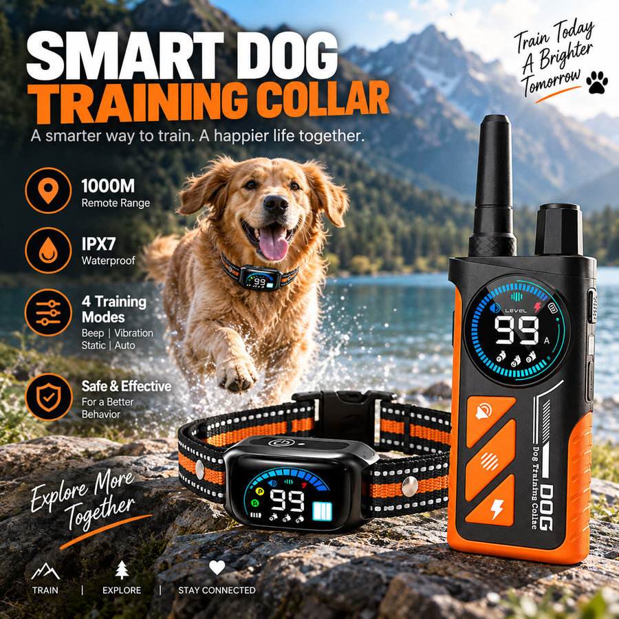 PaiPai PD511-1-TIO 2-in-1 Dog Trainer