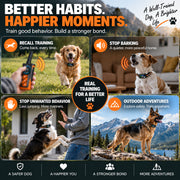 PaiPai PD511-1-TIO 2-in-1 Dog Trainer