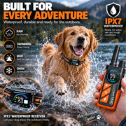 PaiPai PD511-1-TIO 2-in-1 Dog Trainer