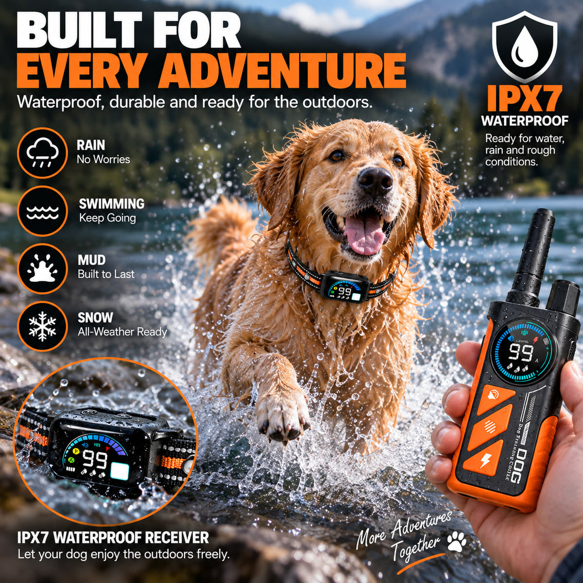 PaiPai PD511-1-TIO 2-in-1 Dog Trainer