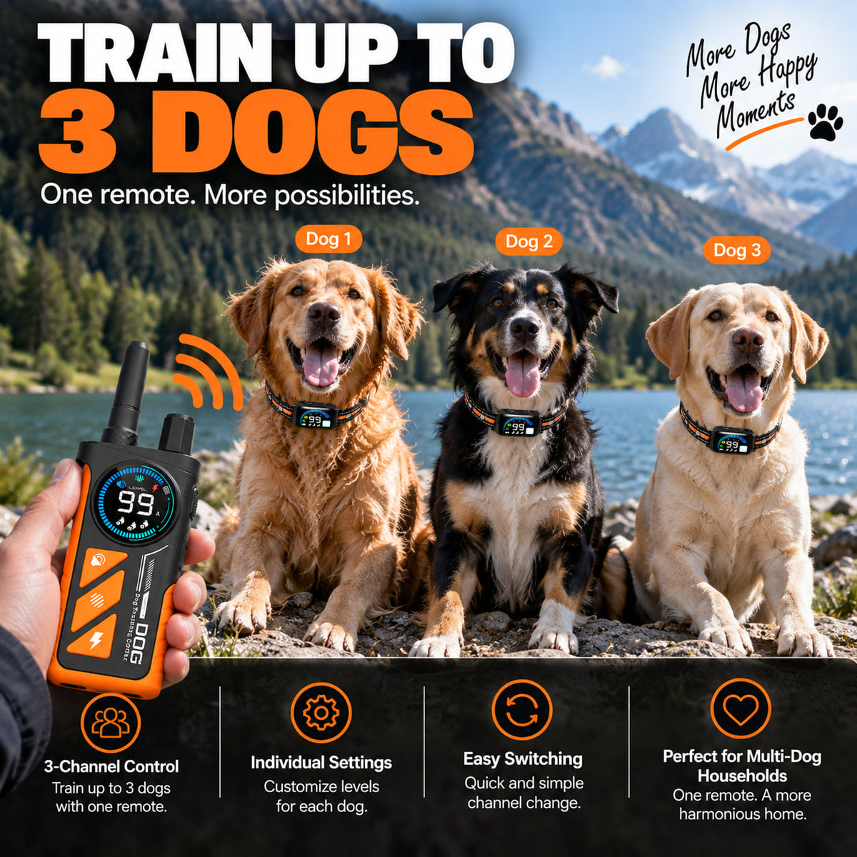 PaiPai PD511-1-TIO 2-in-1 Dog Trainer