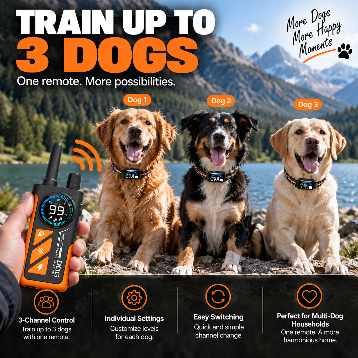 PaiPai PD511-1-TIO 2-in-1 Dog Trainer