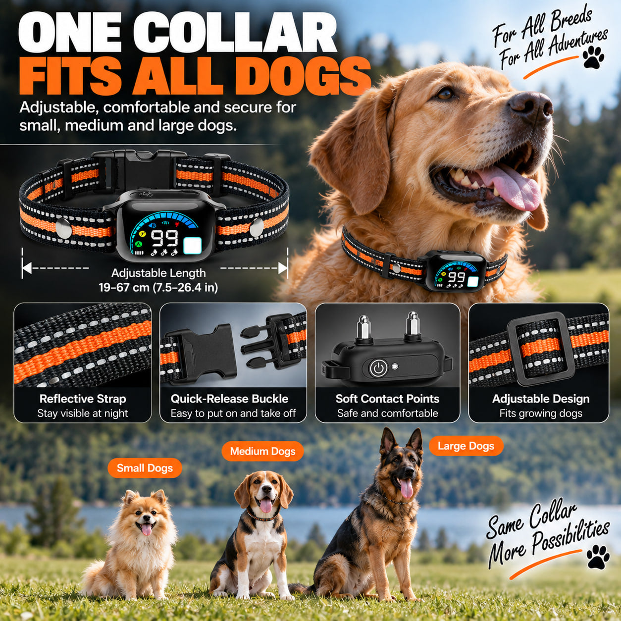 PaiPai PD511-1-TIO 2-in-1 Dog Trainer