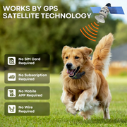 F700 GPS Wireless Dog Fence & Remote Training Collar