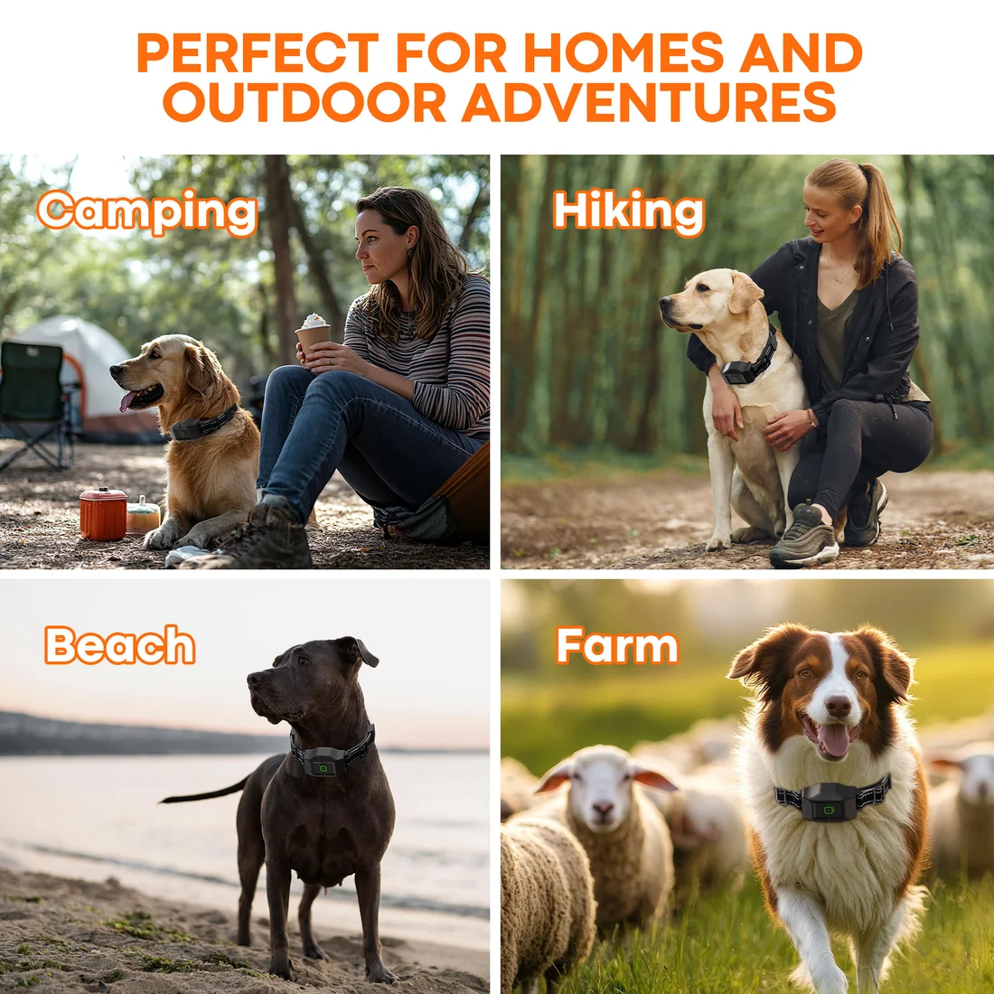 F700 GPS Wireless Dog Fence & Remote Training Collar