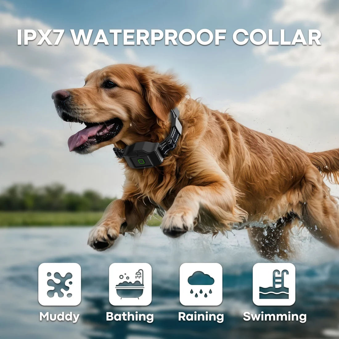 F700 GPS Wireless Dog Fence & Remote Training Collar