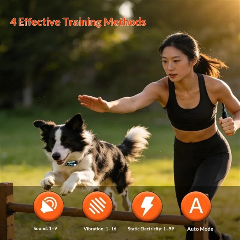 PaiPai PD511-1-TIO 2-in-1 Dog Trainer